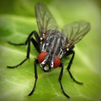 /album/riassitinbreezer/photolia-a01-jpg/