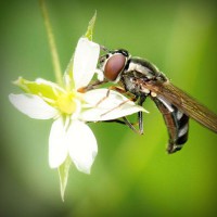 /album/riassitinbreezer/photolia-a02-jpg/