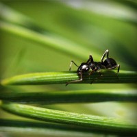 /album/riassitinbreezer/photolia-a05-jpg/