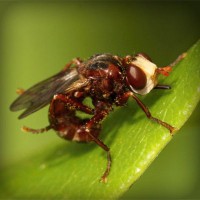 /album/riassitinbreezer/photolia-a06-jpg/