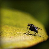 /album/riassitinbreezer/photolia-a07-jpg/